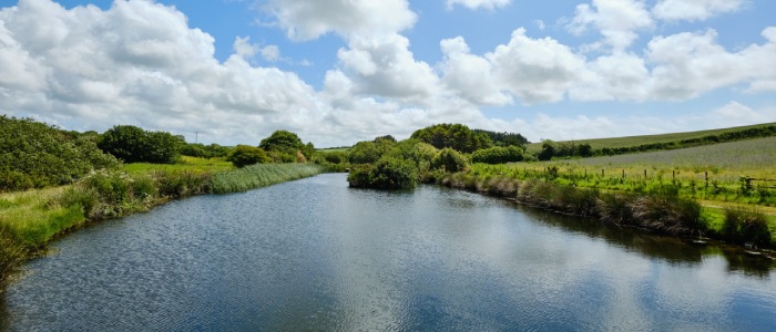 wild swimming lake surrounded by countryside with blue skies and a small island in the middle at a peaceful yoga retreat in Cornwall