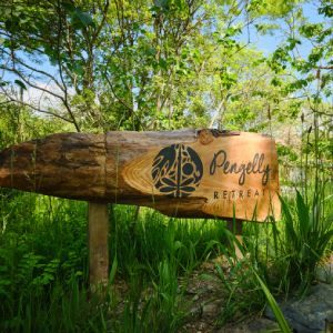 Rough cut, artistic, wooden sign to show the name and logo of the Pengelly retreat. Peaceful yoga retreat